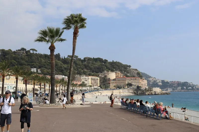 Palm trees along the Promenade des Anglais